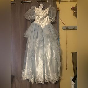 Cinderella type cosplay dress
